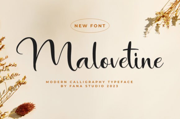 Malovetine: The Stylish Typeface That Elevates Campaign Design