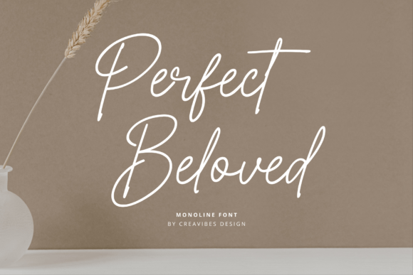 Perfect Beloved Font: A Graceful Choice for Editorial Design